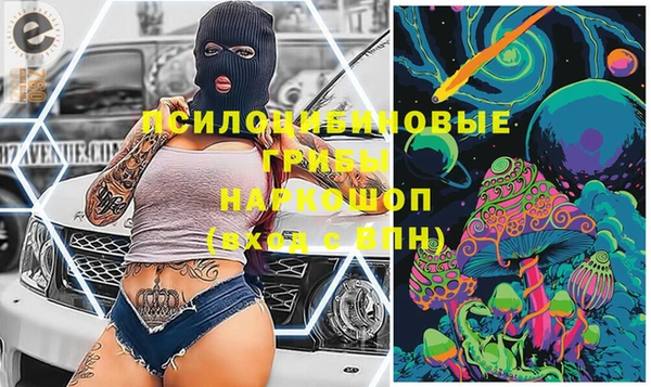 spice Абаза