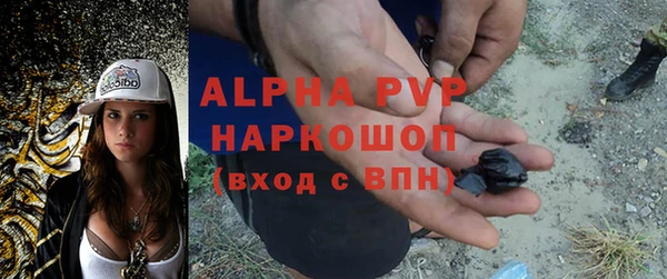 spice Абаза