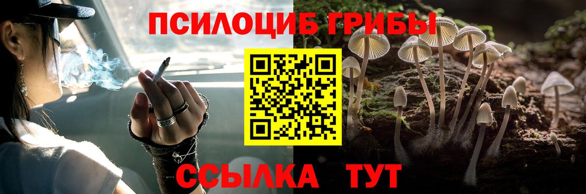 Псилоцибиновые грибы MAGIC MUSHROOMS  Галлюциногенные грибы Psilocybe  Вход с VPN  Петровск 